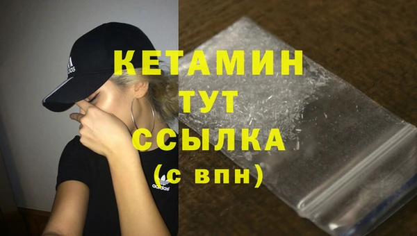 стаф Вязники