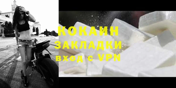 индика Горняк