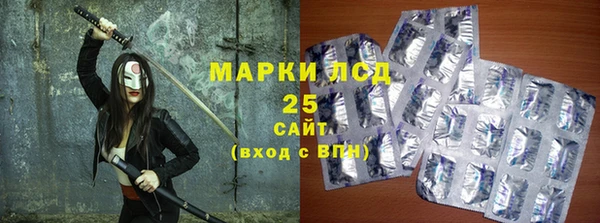 гидра Горнозаводск