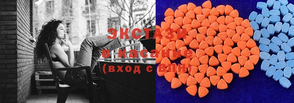 индика Тавда