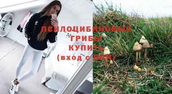 гидра Горнозаводск