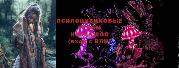 индика Горняк